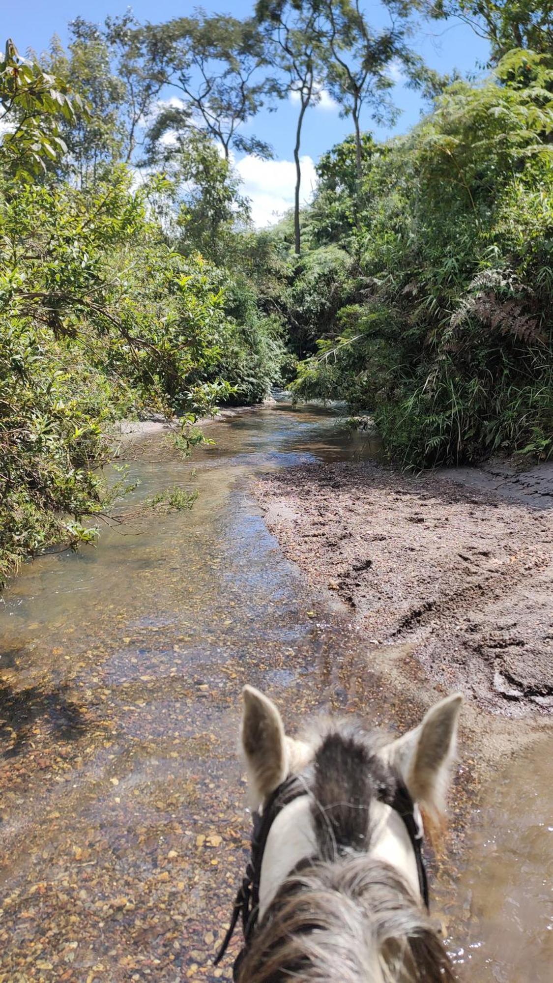 Pousada Ecologica Vale Das Cores Hotel Lavras Novas Buitenkant foto