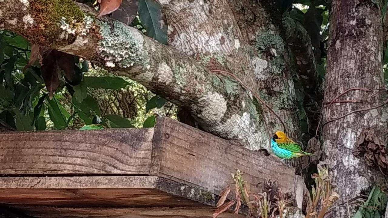 Pousada Ecologica Vale Das Cores Hotel Lavras Novas Buitenkant foto